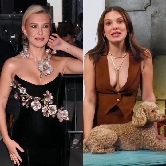 �������� ���� ���������: ����� ����� ����� ��������� � ���������� � ��� ������� ����������, ��� ��� ...