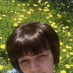 �����, ��������, 46 ���