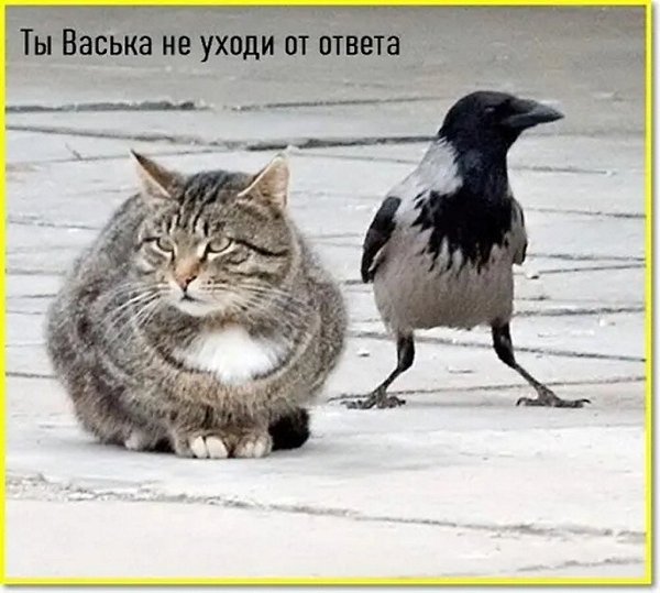 ☆������ �����☆ - 7 ������� 2025 � 00:20