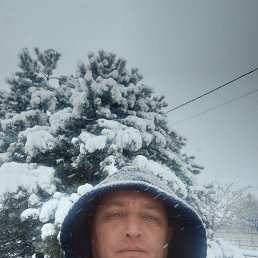 ���� �������, ���������, 42 ���� - ��������� 18 ������ 2026