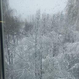 ���� ����, ������, 39 ��� - ��������� 5 ���� 2026