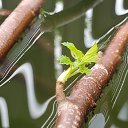 ���� ������, ���� - ��������� 16 ��� 2025 � ������ ��������� ����...�
