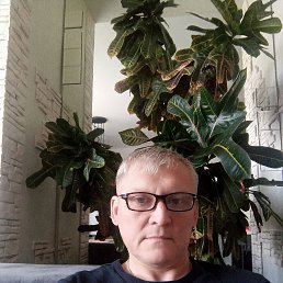 , 57, 