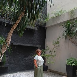 �������, �������-���������, 51 ���