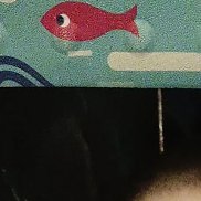 �������, 28 ���, ����