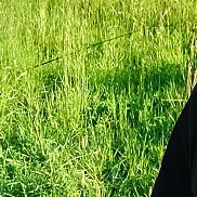 , 28 , 