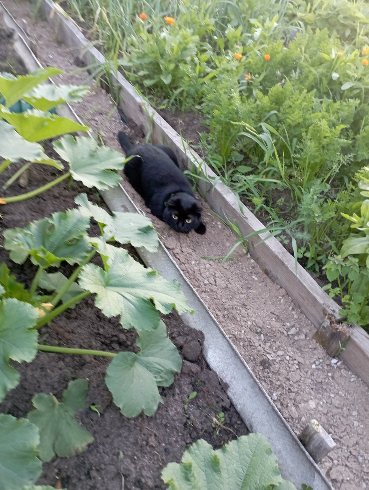 Galina - 16  2025  14:06