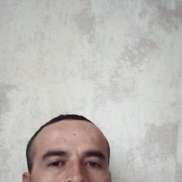 , 39, 
