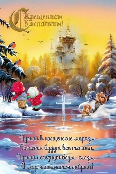 ***Victoria Viktorovna*** - 19  2024  10:13