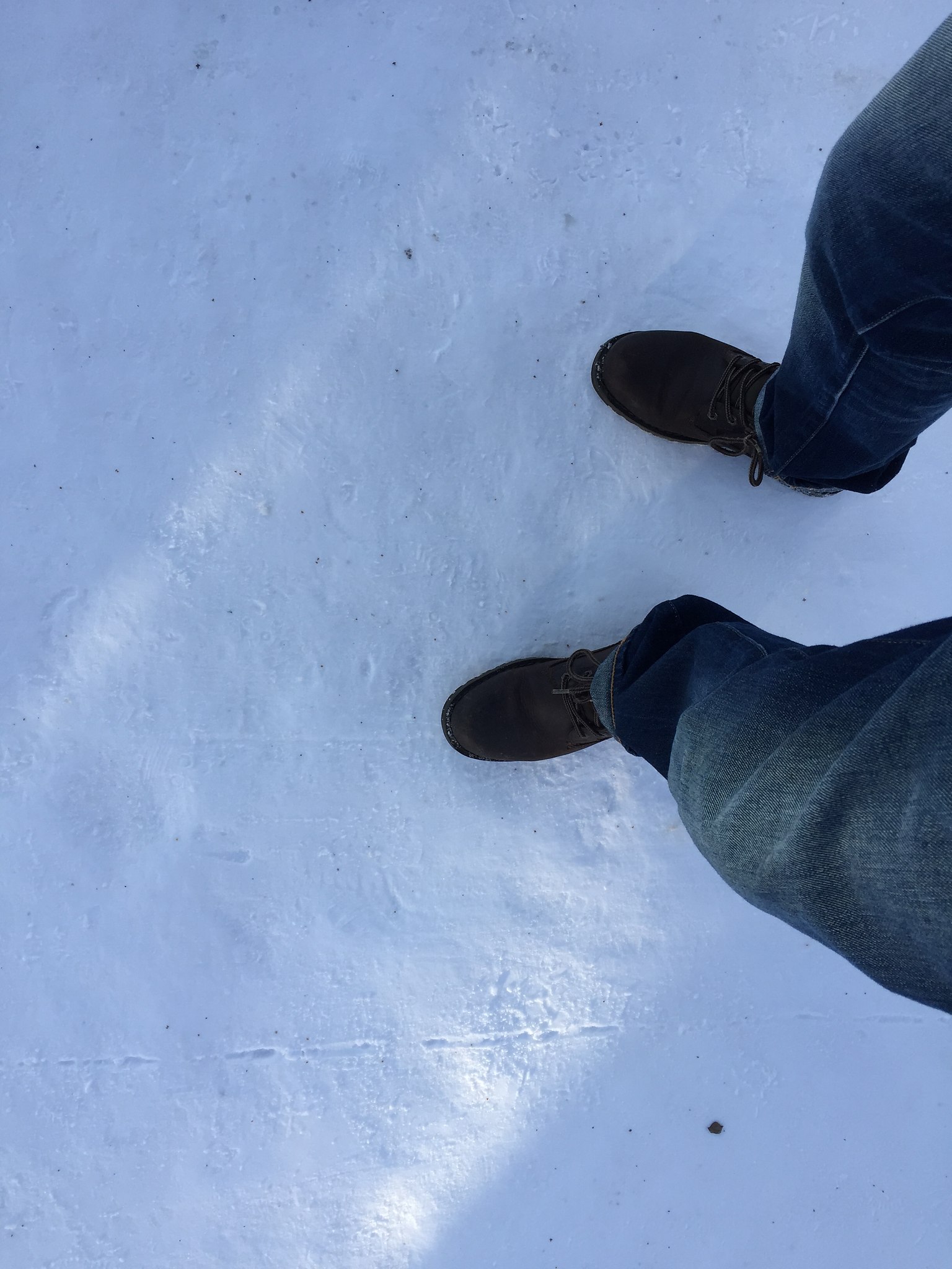 Oleg - 9 ������� 2026 � 18:56