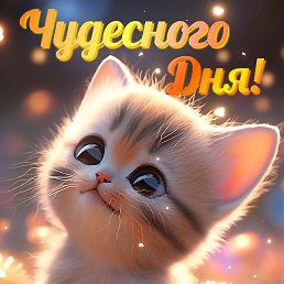 ������, ������, 46 ���