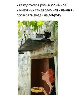   - 9  2024  10:17