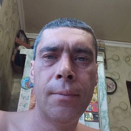 ������, ��������, 41 ���