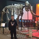 ���� ��������, ������, 21 ��� - ��������� 5 ������ 2026 � ������ ���� ����������