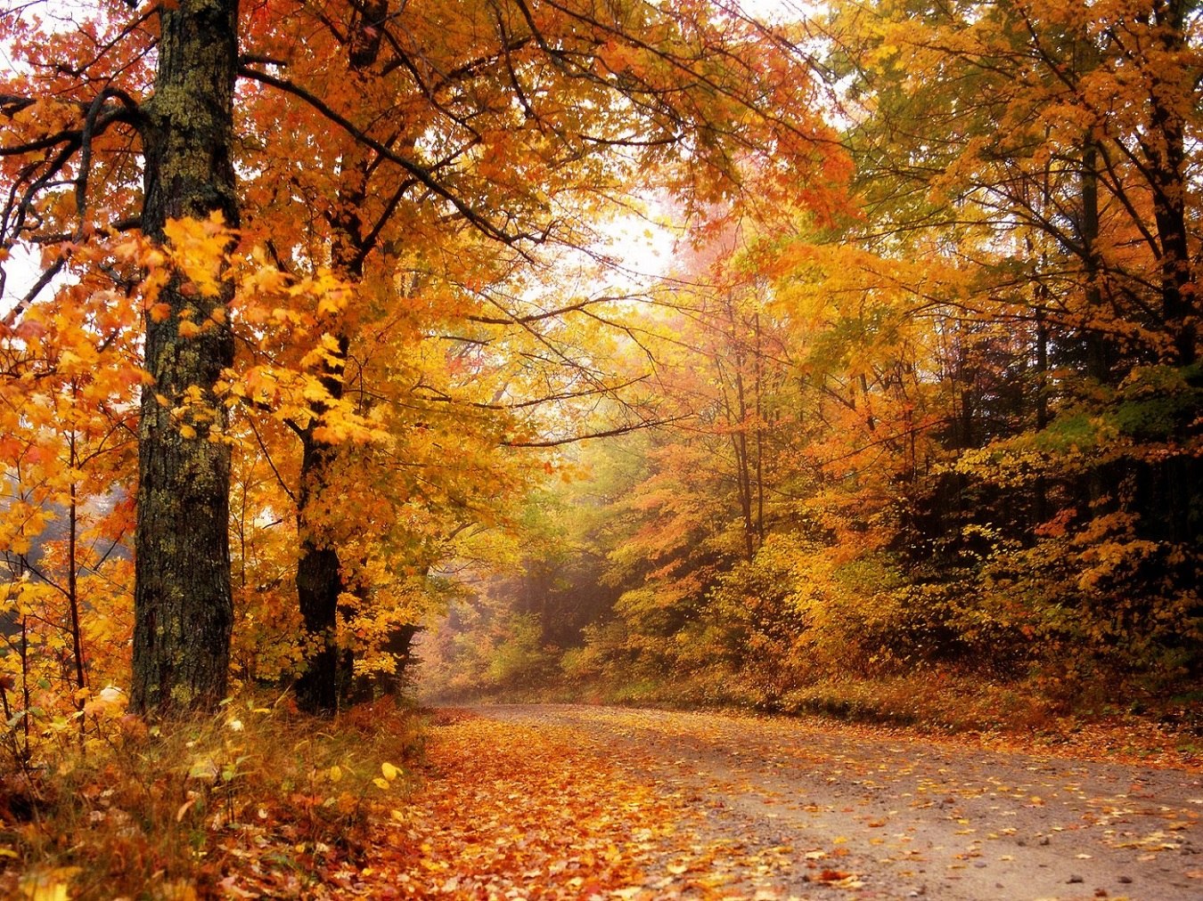 ������ - 19 ������ 2023 � 15:38