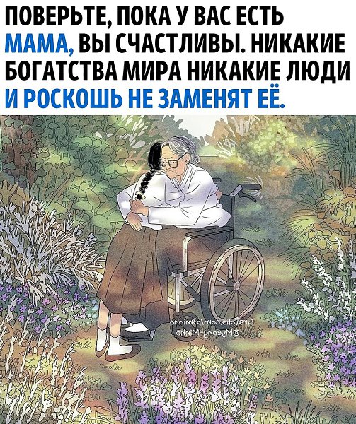 ����������� ����������� �� ���� �������� ����