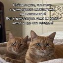 ���� ����, ��������� - ��������� 25 ���� 2026 � ������ ������ ��������