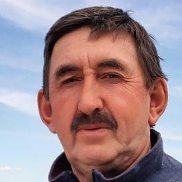 , 65 , 
