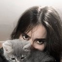 ���� ����, ������, 26 ��� - ��������� 8 ������ 2024 � ������ ���� ����������