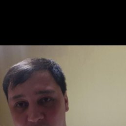 , , 