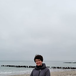 �������, �����������, 54 ����