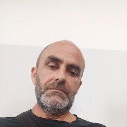 , , 44 