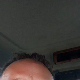 , 37 , 