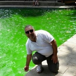 ���������, �����, 50 ���