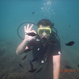 �������, ��������, 48 ���