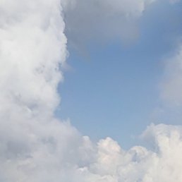 �����, ������-��-����, 51 ���