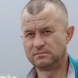 ��������, ������, 48 ���