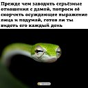 ���� ���������, ���������� - ��������� 24 ������ 2026