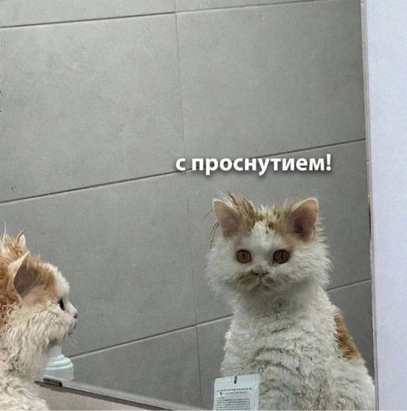 Доброе утро, Киров. Сегодня облачно с прояснениями, днём кратковременный дождьТемпература воздуха ...