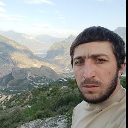 , 32, 