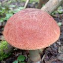 ���� ��������, ������, 59 ��� - ��������� 7 ������� 2024 � ������ ���� ����������