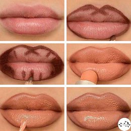 �����������