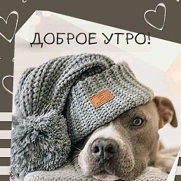 ���� ����, �������, 31 ��� - ��������� 10 ������ 2026