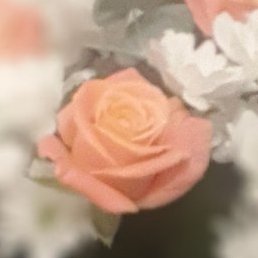 *Abrakadabra*, �������, 40 ���