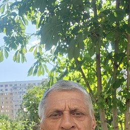 , 55, 