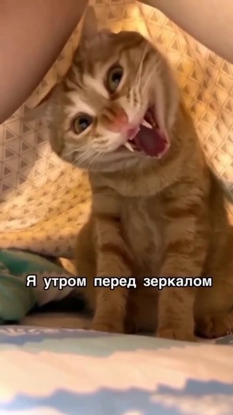   ,    !) - 2