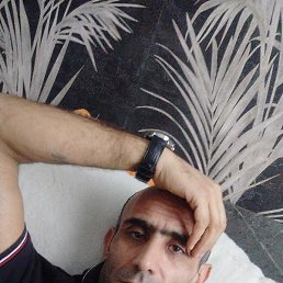 ������, ��������, 41 ���