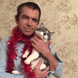 ������, 58 ���, ������