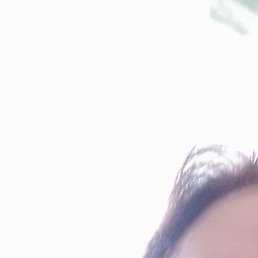 �������, �������, 67 ���