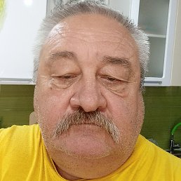 ��������, ��������-��-������, 66 ���