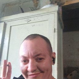 ������, 37 ���, �����������