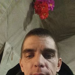 , 35 , 