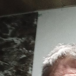 ��������, ������, 51 ���