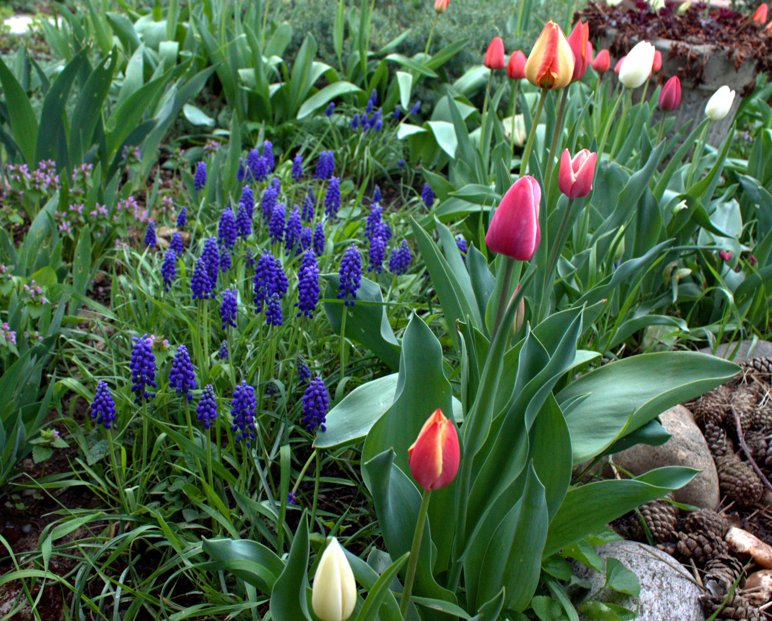 ������ ������ - 17 ������ 2025 � 07:37