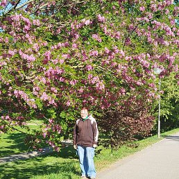 ����, ����������, 29 ���