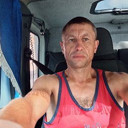 �����, 42 ����, ����